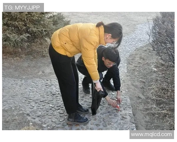 张宁：在新时代背景下的科技创新与社会责任的双重探索